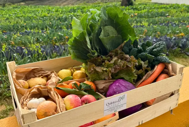 O Cabaz Grande é ideal para famílias que valorizam uma alimentação saudável, variada e cheia de sabor. Com hortícolas biológicos colhidos na nossa Quinta, garante frescura e qualidade em cada refeição.