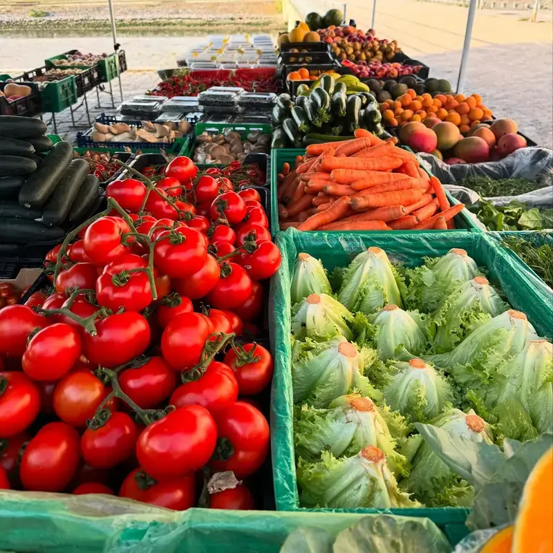 Mercados