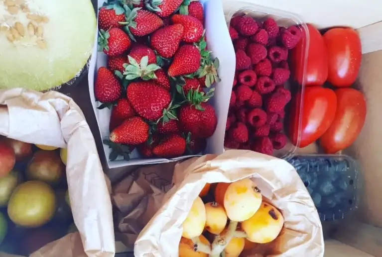 O Cabaz de Frutas da Quinta da Herdeira traz-lhe o melhor da época, sempre fresco, biológico e cheio de sabor. Uma forma prática e saudável de garantir fruta variada em casa, colhida no momento certo.