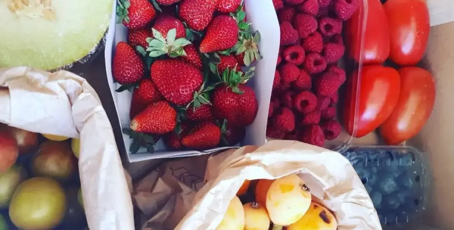 O Cabaz de Frutas da Quinta da Herdeira traz-lhe o melhor da época, sempre fresco, biológico e cheio de sabor. Uma forma prática e saudável de garantir fruta variada em casa, colhida no momento certo.
