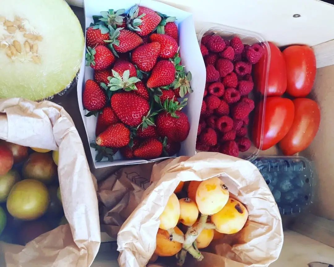 O Cabaz de Frutas da Quinta da Herdeira traz-lhe o melhor da época, sempre fresco, biológico e cheio de sabor. Uma forma prática e saudável de garantir fruta variada em casa, colhida no momento certo.