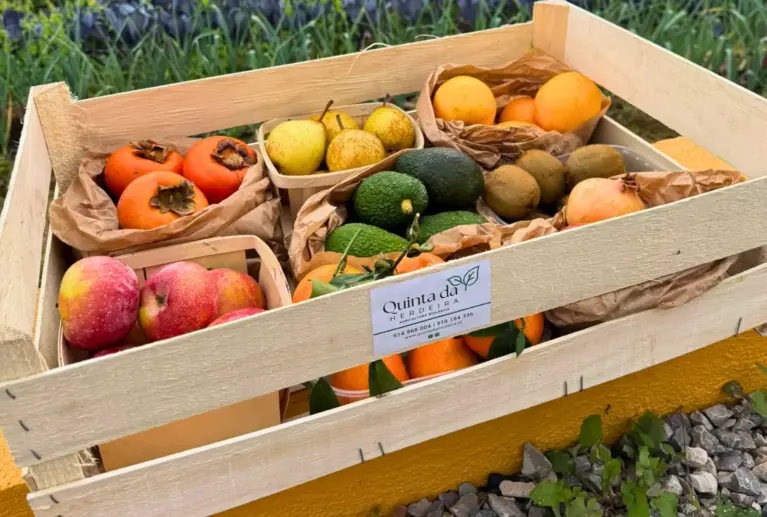 O Cabaz de Frutas da Quinta da Herdeira traz-lhe o melhor da época, sempre fresco, biológico e cheio de sabor. Uma forma prática e saudável de garantir fruta variada em casa, colhida no momento certo.
